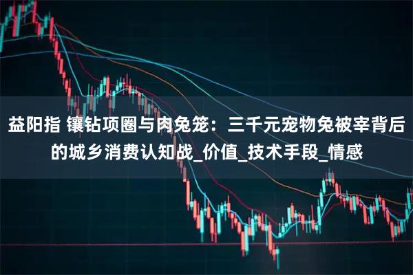 益阳指 镶钻项圈与肉兔笼：三千元宠物兔被宰背后的城乡消费认知战_价值_技术手段_情感