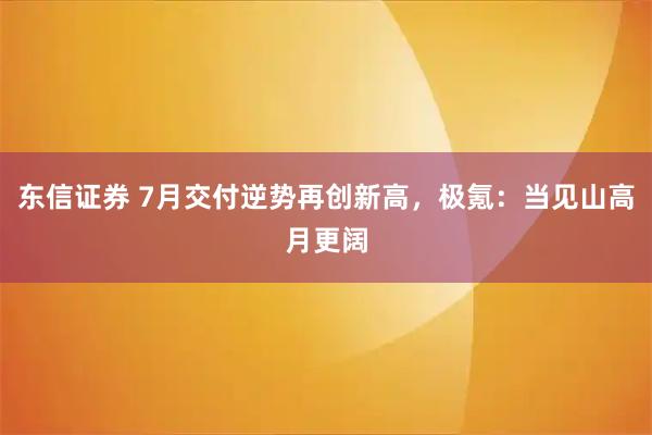 东信证券 7月交付逆势再创新高，极氪：当见山高月更阔