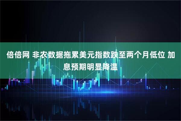 倍倍网 非农数据拖累美元指数跌至两个月低位 加息预期明显降温