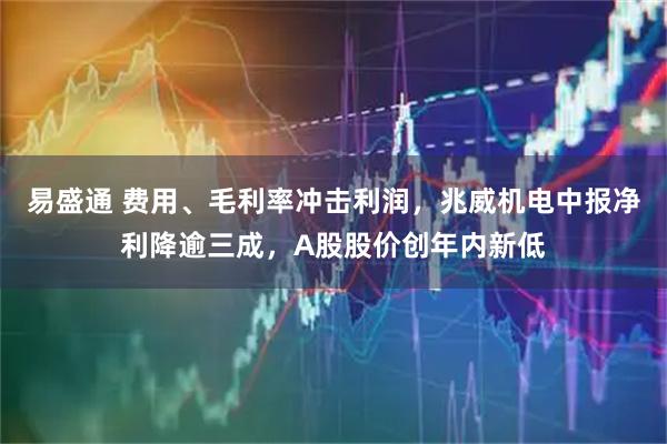 易盛通 费用、毛利率冲击利润，兆威机电中报净利降逾三成，A股股价创年内新低